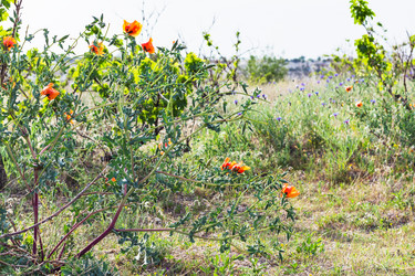 Similar image 20454304