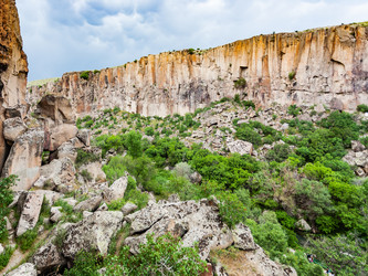 Similar image 20454323