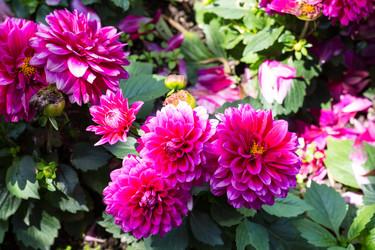 Similar image 20454342