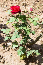 Similar image 20454347