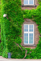 Similar image 20452839