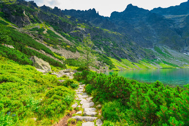 Similar image 20452885