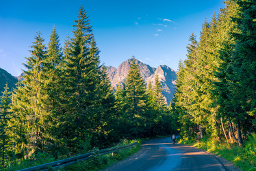 Similar image 20452947