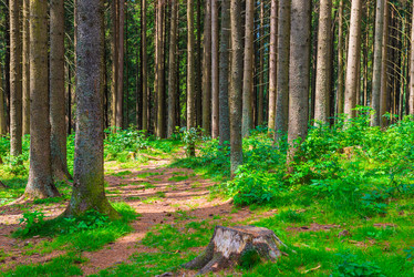 Similar image 20452956