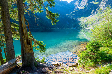 Similar image 20452964