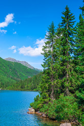 Similar image 20453089