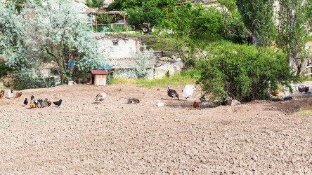 Similar image 20454348