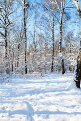 Similar image 20454353