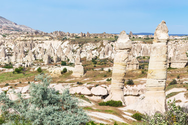 Similar image 20454387