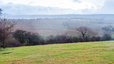 Similar image 20454481