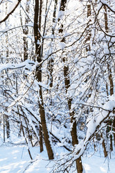 Similar image 20454482