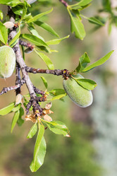 Similar image 20454499