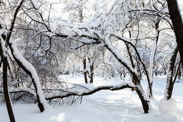 Similar image 20454505