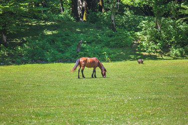 Similar image 20456155