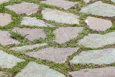 Similar image 20456157