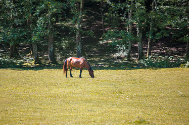 Similar image 20456159