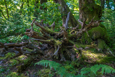 Similar image 20456166