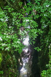 Similar image 20456168