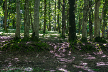 Similar image 20456171