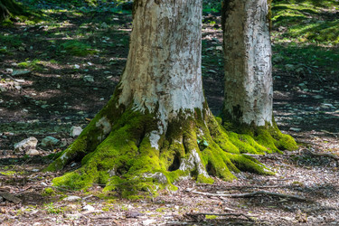 Similar image 20456182