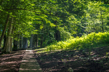 Similar image 20456225