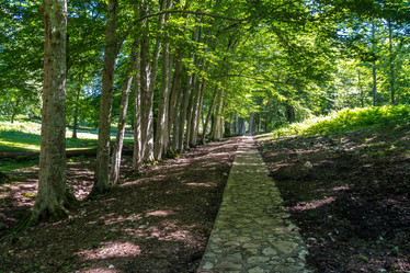 Similar image 20456226