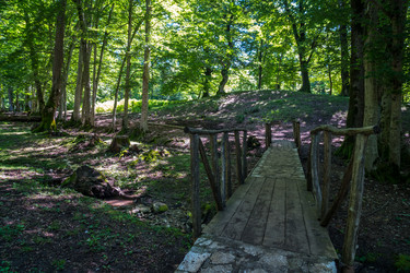 Similar image 20456228