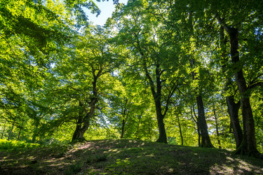 Similar image 20456229