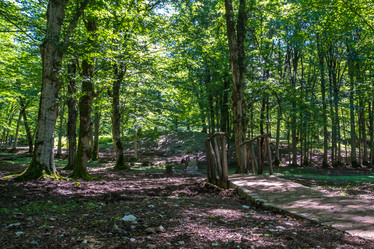 Similar image 20456230