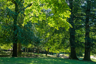 Similar image 20456231