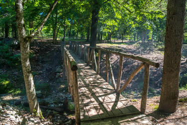 Similar image 20456232