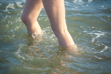 Similar image 20456240