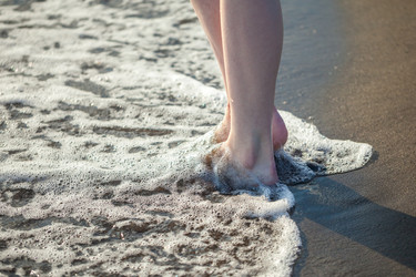 Similar image 20456243