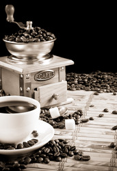 Similar image 20454702