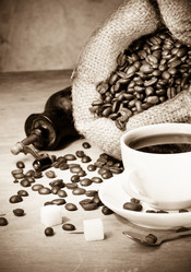 Similar image 20454790