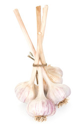 Similar image 20454846