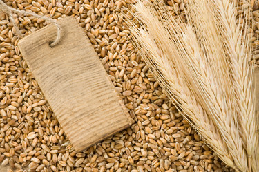 Similar image 20454882