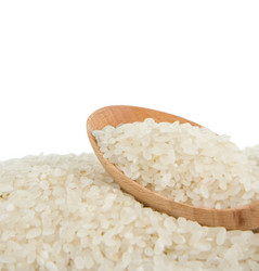 Similar image 20455021