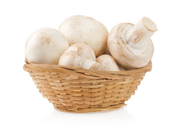 Similar image 20455027