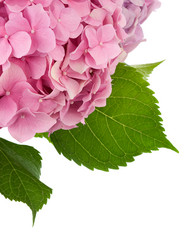 Similar image 20455124