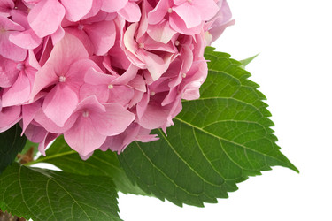 Similar image 20455128