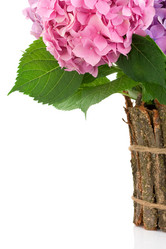 Similar image 20455130