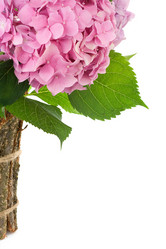 Similar image 20455132