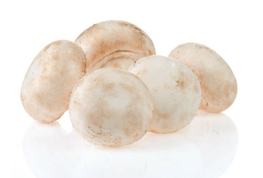 Similar image 20455259