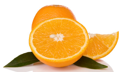 Similar image 20455281