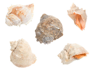 Similar image 20455396