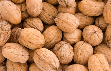 Similar image 20455579