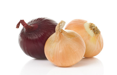 Similar image 20455645