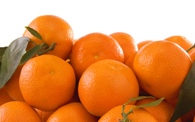 Similar image 20455646