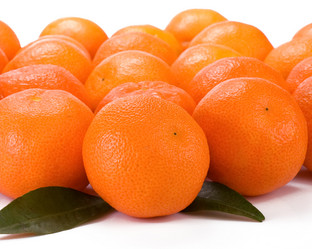 Similar image 20455649